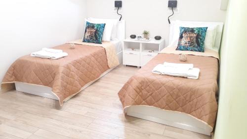 Bokhali House | Casa Doppia