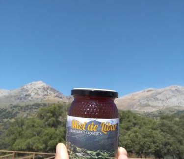 Jimera de Libar House | CASA EL CANTÓN