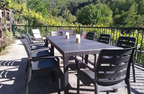 Nogueira de Ramuin House | Casa en Viñoas (Ribeira Sacra)