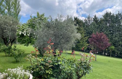 Fuentiduena House | Casa Fuentes de Ledina