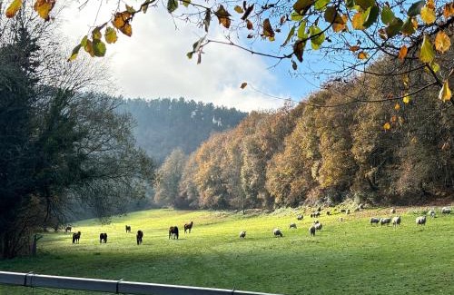 Taboada Apartment | Casa Grande de Covas-Apartamentos Turísticos