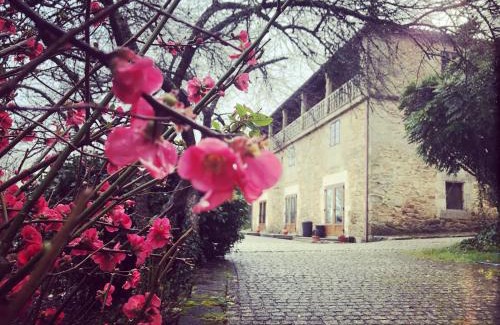 Silleda House | Casa Grande de Fuentemayor