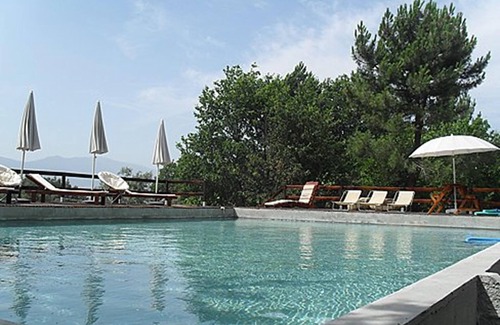 Vila Ruiva House | CASA GRANDE DE JUNCAIS - TOP HOUSE