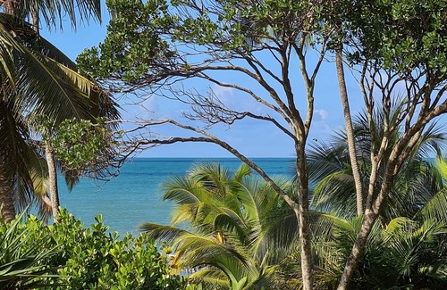 Barra Grande House | - Casa Helicônia - A cozy house in one of the most beautiful beaches of Bahia!
