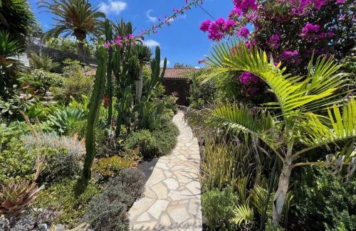 Tajuya House | Casa Jardin Tropical