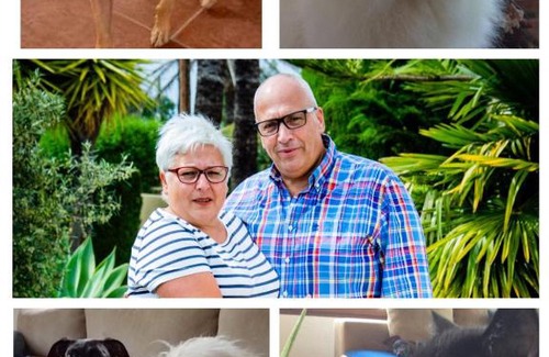 Ontinyent Bed & Breakfast | Casa Jetizo