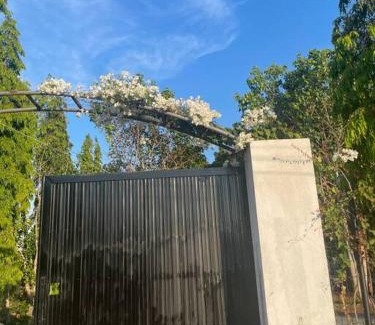 Chau Duc House | Casa Khang - a peaceful cottage close to HCMC