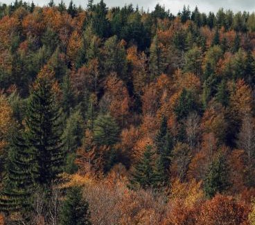 Pian degli Ontani Apartment | Casa l'Acerone