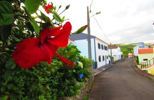 Lajes das Flores Apartment | Casa L&M