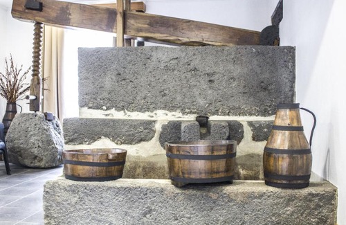 Santa Cruz da Graciosa House | Casa Lagar de Pedra T2