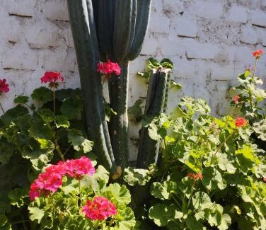 Nuevo Imperial House | Casa Langla Lunahuana