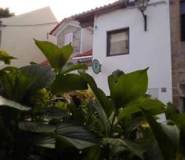 Santar House | Casa Luís de Camões - Boutique & Literary House