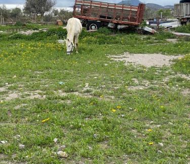 Puerto Lumbreras Bed & Breakfast | Casa Lumbreras