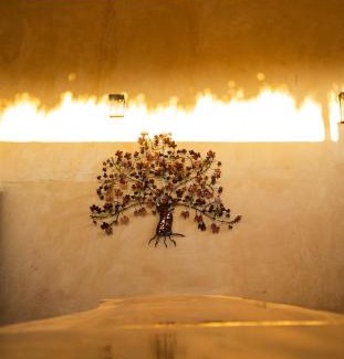 Salina Cruz Hotel | Casa Majeva Punta Conejo