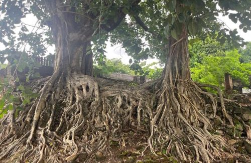 Davidopolis House | Casa na Carioca em Goias Velho