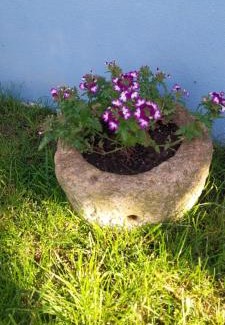 Carvoeira House | Casa Odélia