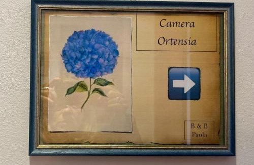 Castelnuovo Berardenga Bed & Breakfast | Casa Paola nel Chianti