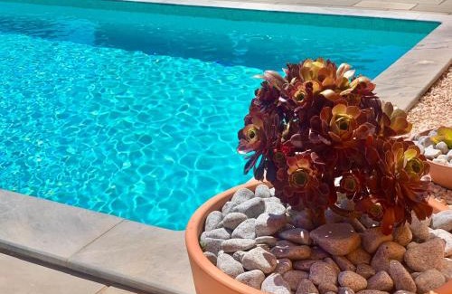 Penina Bed & Breakfast | Casa Penina