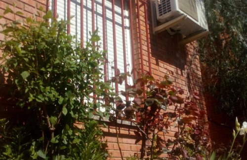 Siles House | Casa Pinos