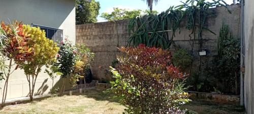 Cavalcante House | Casa PITAYA