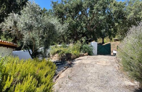 Apartadura Ski Chalet | Casa Pollard