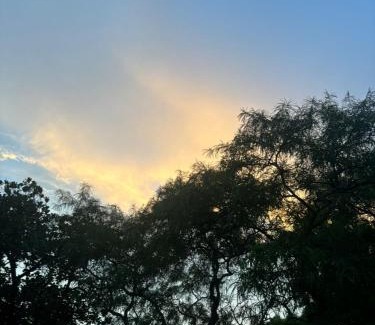 Patna Apartment | Casa Pratap