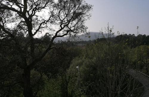 Tui House | Casa Ribe