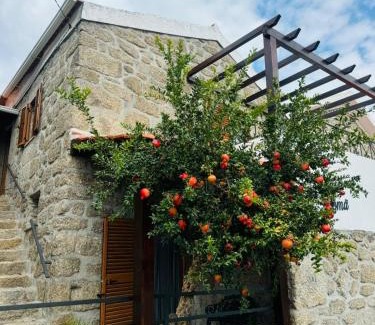 Celorico da Beira House | Casa Romã