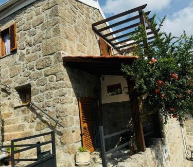 Celorico da Beira House | Casa Romã