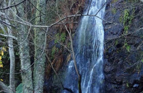 Monchique Apartment | Casa Rosa em Monchique