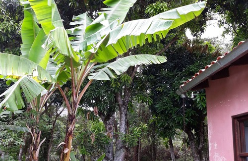 Vale do Capao House | Casa Rosa in Capão Valley