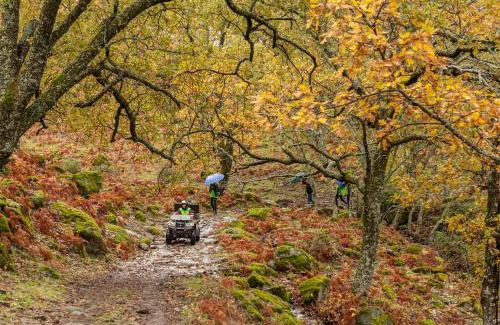 Casas del Monte House | Casa Rural ARBEQUINA & Otoño MÁGICO