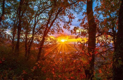 Casas del Monte House | Casa Rural ARBEQUINA & Otoño MÁGICO