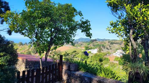 Barranco del Pinar House | CASA RURAL CON PISCINA PRIVADA El ROBLE