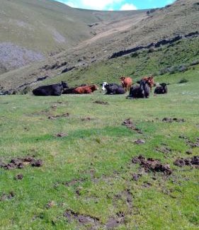 Villacarriedo House | Casa Rural Costalisa