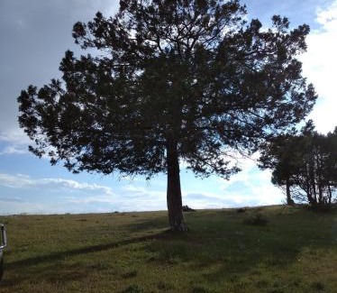 Hontoria del Pinar House | Casa Rural del Médico