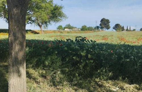 Las Casas House | casa rural El Realengo