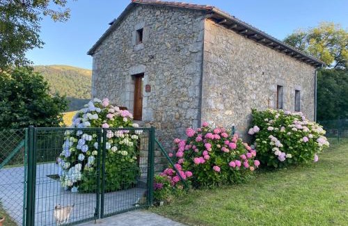 Riotuerto Ski Chalet | Casa Rural El Salvijo