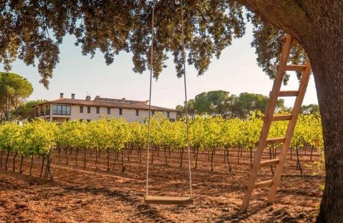 Villanueva de la Jara Ski Chalet | Casa Rural en Bodega La posada de Vitis