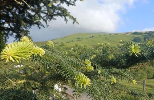 Escobedo House | Casa rural La Corona