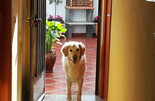 Alia House | Casa Rural La Herencia