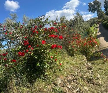 Aroche House | Casa rural La Portilla