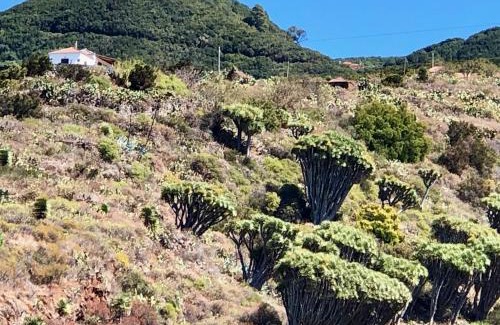 Santo Domingo House | Casa Rural Los Barranquitos