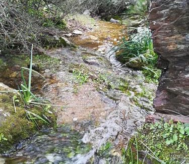 Alcolea del Rio House | Casa Rural Mesa del Lobo Perita