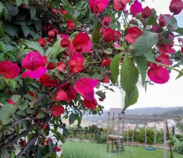 Chillivani Bed & Breakfast | Casa sui Tetti