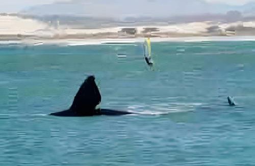 Barra de Ibiraquera House | Casa Thai Linda na Praia