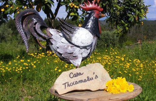 Tabua Apartment | Casa Thocamalu's