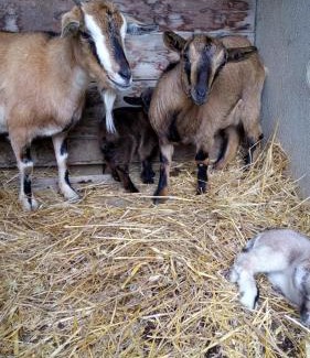 Seulo Apartment | Casa ticci