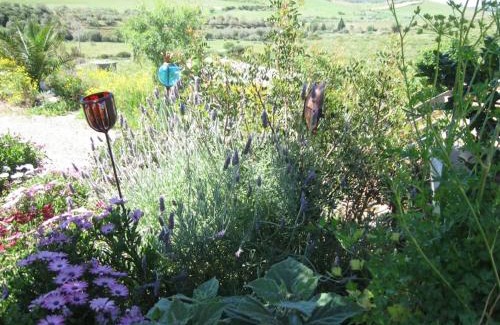 Dolianova House | Casa Vacanza Is Istrias