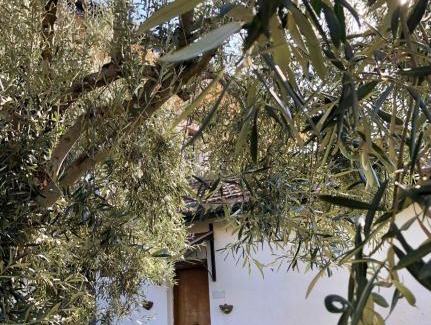 Paterno House | Casa Vacanza L'ulivo